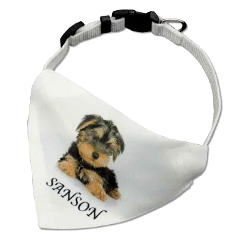 Collar mascotas